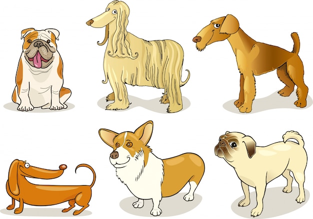 perros de pura raza