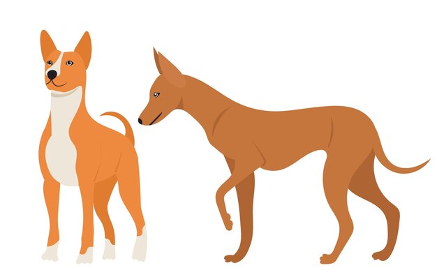 Perros en vector aislado de diseño plano