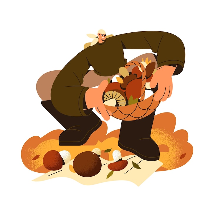 Vector la persona feliz sostiene una canasta llena de diferentes boletes boletus el hombre recoge la cosecha de madera de otoño ilustración de vector aislado plano en fondo blanco
