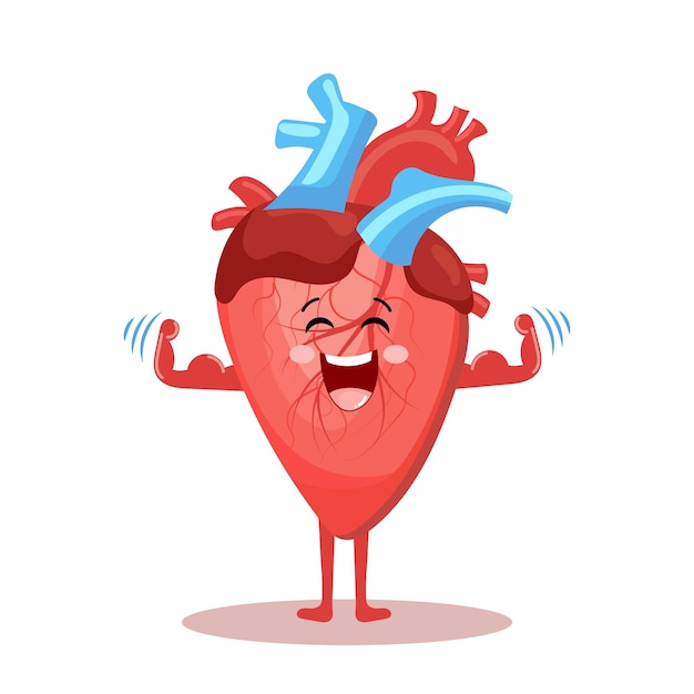 Personaje alegre de dibujos animados lindo del corazón humano sano Concepto médico de anatomía humana Ilustración