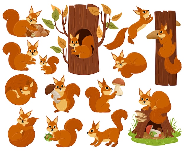 Personaje animal del bosque de ardilla de dibujos animados, durmiendo, saltando, jugando. conjunto de ilustración de vector de ardilla ágil salvaje bosque. lindo bosque fauna roedor animal