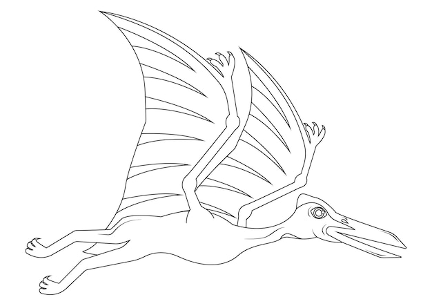 Personaje de dibujos animados de dinosaurio Quetzalcoatlus en blanco y negro Página para colorear vectorial de un dinosaurio Quetzalcoatlus