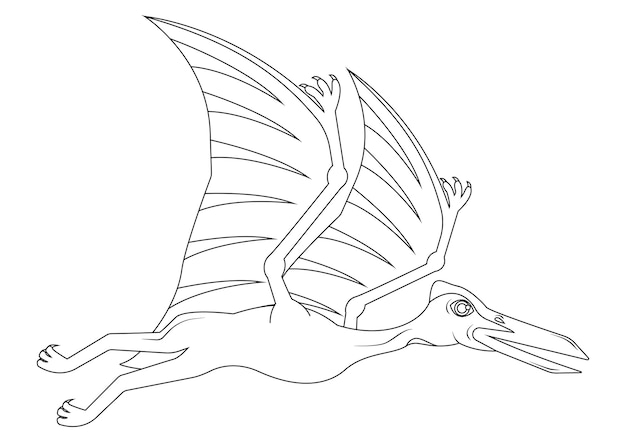 Personaje de dibujos animados de dinosaurio Quetzalcoatlus en blanco y negro Página para colorear vectorial de un dinosaurio Quetzalcoatlus