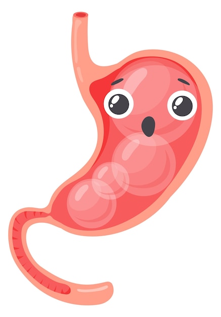 Vector personaje de dibujos animados de estómago hinchado mascota de problemas digestivos