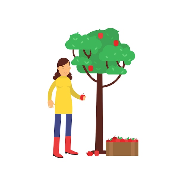 Personaje de dibujos animados de granjero feliz en botas de goma rojas cosechando manzanas del árbol. Mujer jardinero en el trabajo. Productos frescos de granja ecológica. Concepto de agricultura. Ilustración de vector plano aislado en blanco.