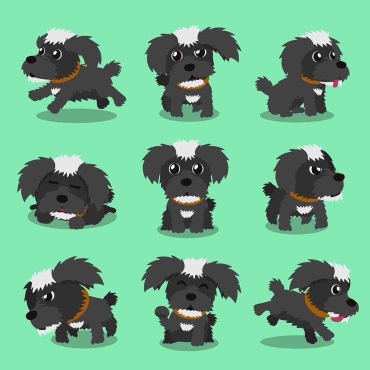 Vector personaje de dibujos animados negro perro maltés poses