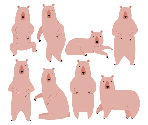 El personaje de dibujos animados de oso lindo es un conjunto de ilustraciones vectoriales planas