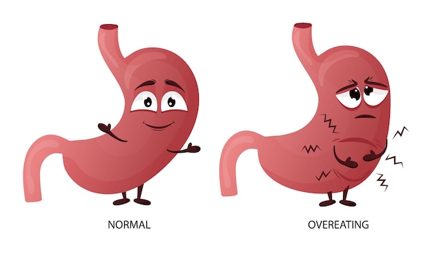 Personaje estomacal de dibujos animados Concepto de órgano interno sano y enfermo comer en exceso dolor y pesadez Ilustración vectorial fondo blanco aislado