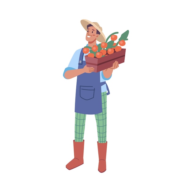 Personaje de hombre de cosecha con tomates maduros.