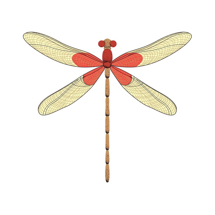 Vector personaje de libélula de dibujos animados de vector ilustración de mosca de dragón divertido