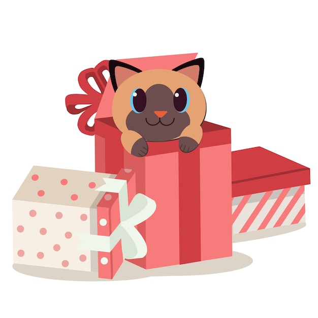 Personaje de lindo gato en la caja de regalo.