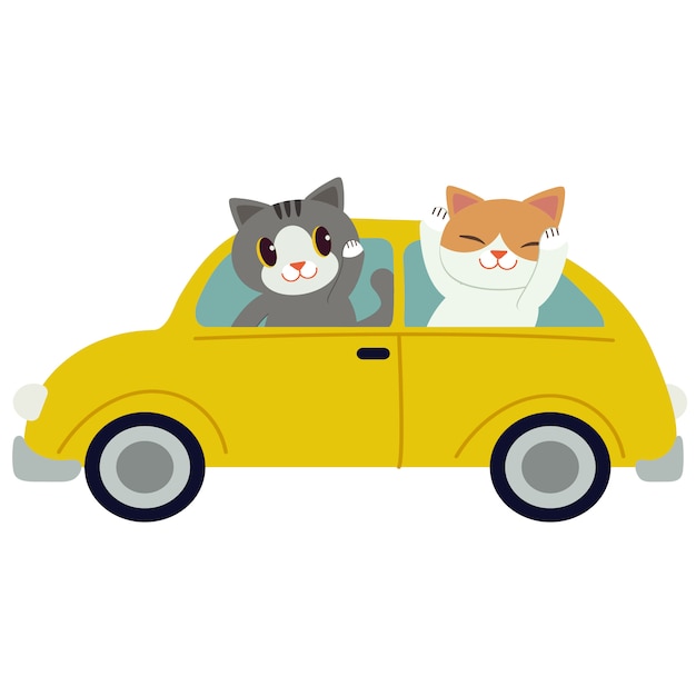 Vector el personaje lindo gato conduciendo un coche amarillo. el gato que conduce un coche amarillo en el fondo blanco.