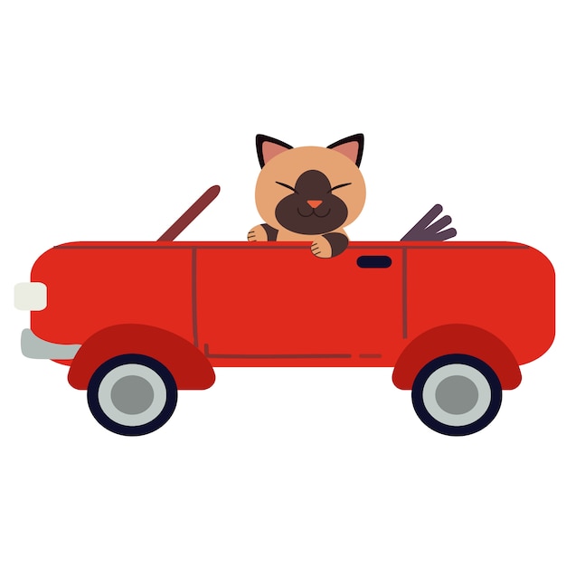 El personaje lindo gato conduciendo un coche deportivo rojo. El gato que conduce un coche rojo en el fondo blanco.