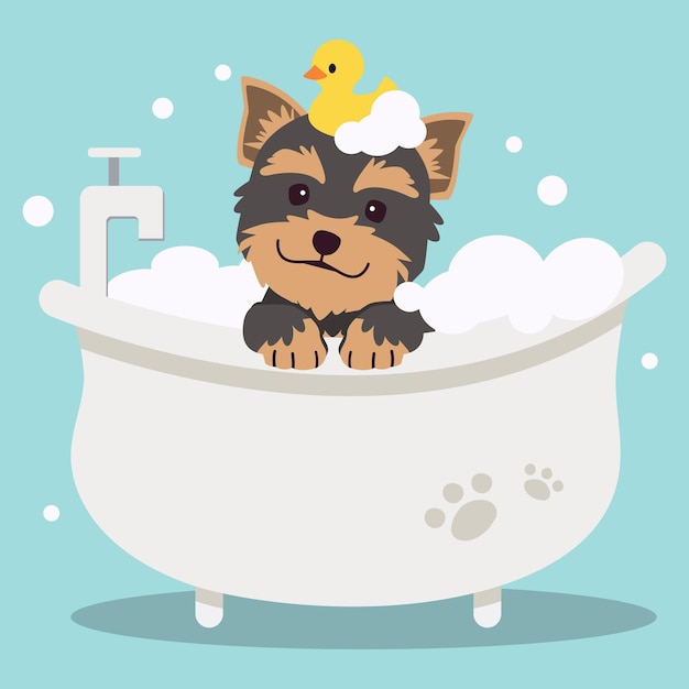 El personaje lindo perro yorkshire terrier tomando un baño con bañera para el cuidado de la salud