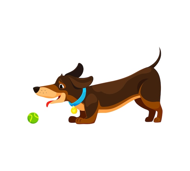 Personaje de perro dachshund de dibujos animados con una pelota de tenis