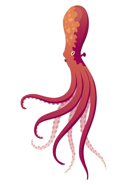 Personaje plano de dibujos animados de pulpo con ventosas en las manos icono de fauna acuática ilustración animal para el concepto de naturaleza del anuncio del zoológico animal marino de pulpo de color lindo con tentáculos