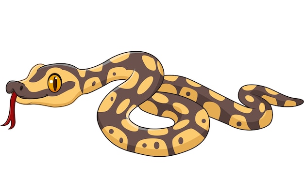 Personaje de serpiente de dibujos animados aislado sobre fondo blanco