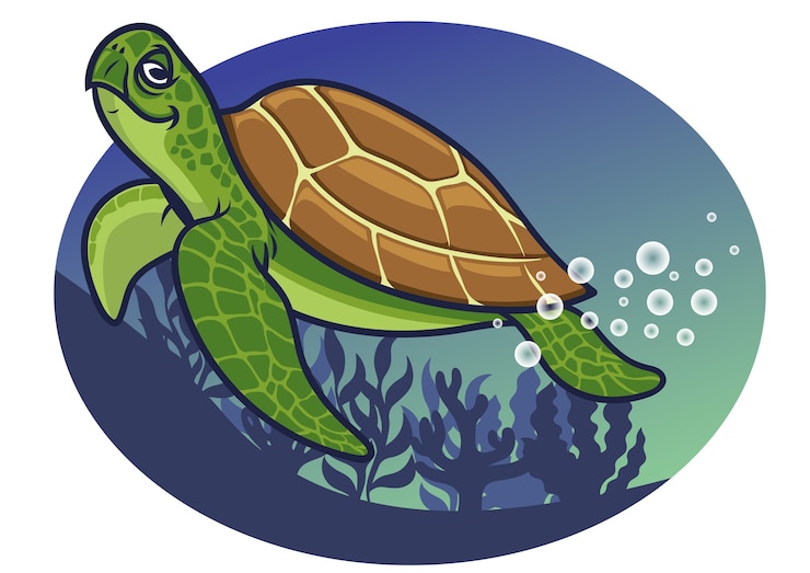 Vector personaje de tortuga de dibujos animados