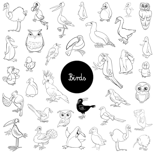 personajes de animales de aves de dibujos animados conjunto de libros de color