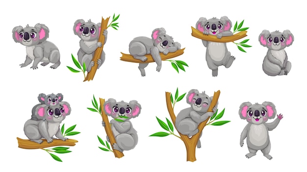 Los personajes de dibujos animados de osos koala en el árbol