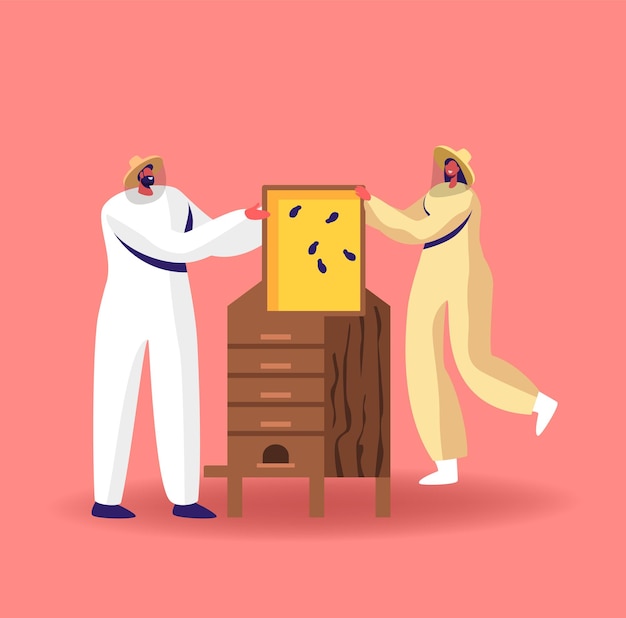 Vector personajes extrayendo miel ilustración. los apicultores en traje de protección en el colmenar tomando el marco de panal de la colmena de madera