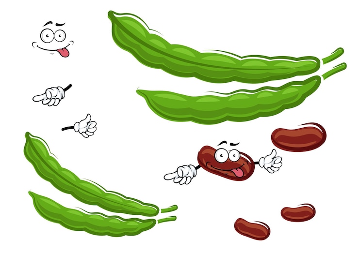 Vector personajes vegetales de frijoles frescos de dibujos animados