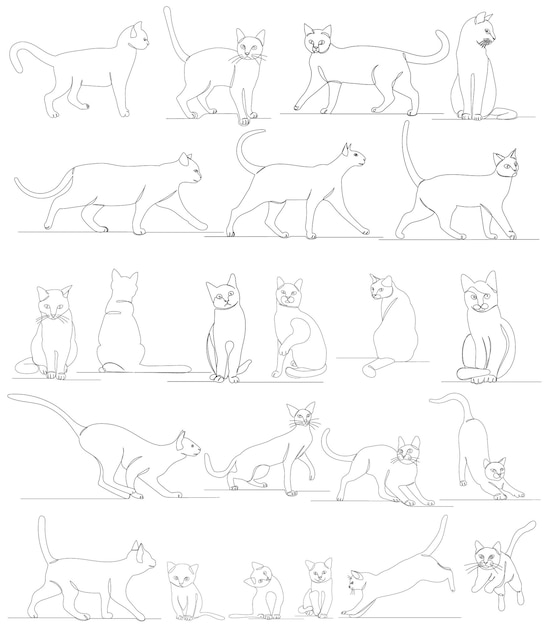 Personas hombre y mujer dibujo de una línea sobre fondo abstracto, vector