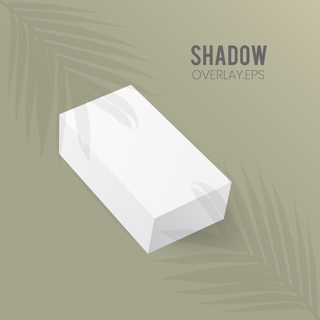 Vector perspectiva de maqueta de caja rectangular con superposición de sombra de hojas