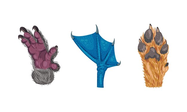 Perto animal con pata peluda de primate y conjunto vectorial de patas de perro