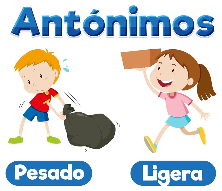 Vector pesado y ligera educación antónimos en español pesado y ligero