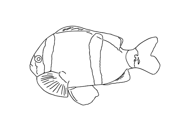 Pescado animal marino que nada en el agua doodle dibujos animados lineales para colorear