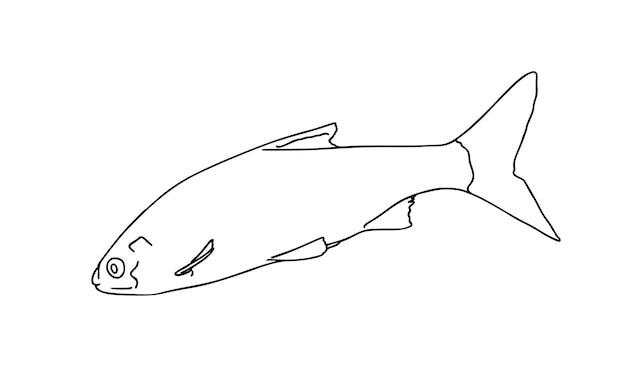 Pescado animal marino que nada en el agua doodle dibujos animados lineales para colorear
