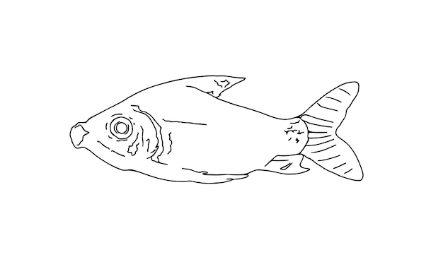 Pescado animal marino que nada en el agua doodle dibujos animados lineales para colorear