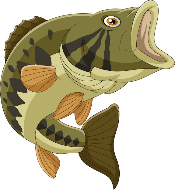 Vector pescado bajo de dibujos animados aislado