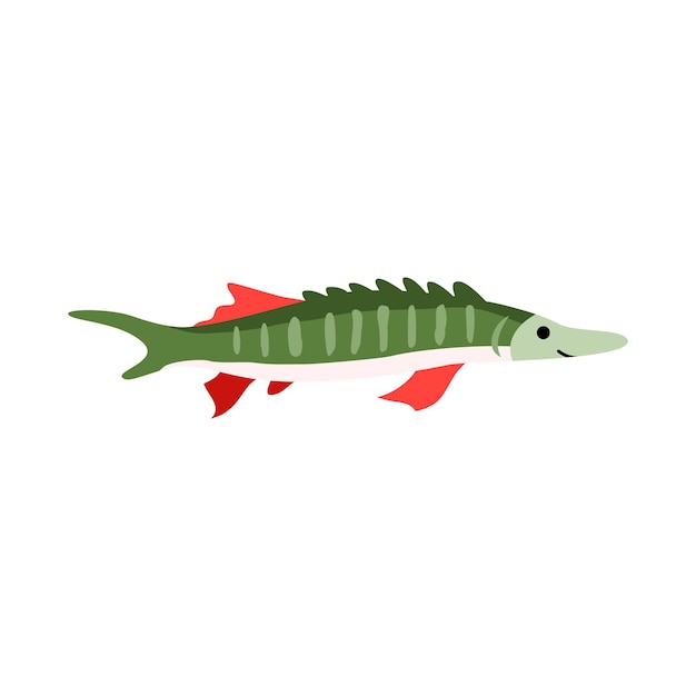 Pescado de esturión captura de lujo del pescador una ilustración aislada de vector