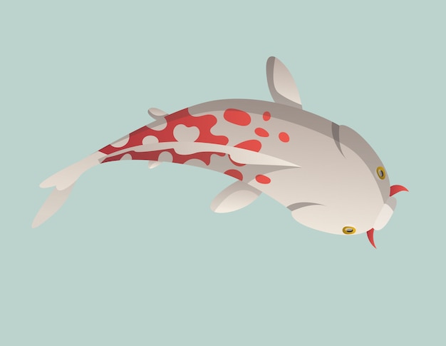 Pescado flotando tranquilamente. Ilustración de peces koi carpa japonesa, koi oriental colorido en Asia. Goldfish chino, pesquería tradicional aislada