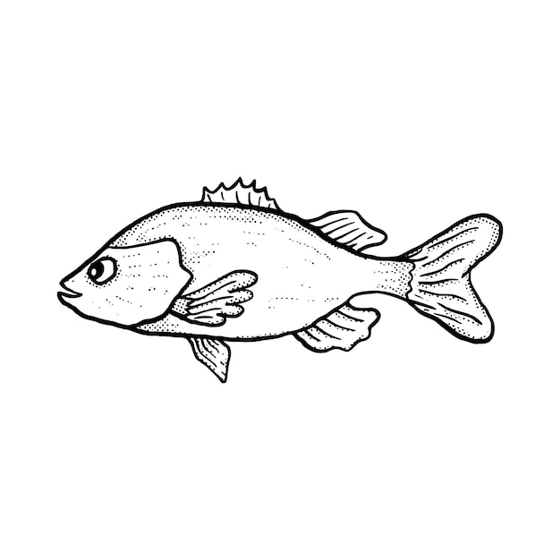 Pescado Ilustración dibujado a mano dibujos animados boceto lineart estilo vintage vector