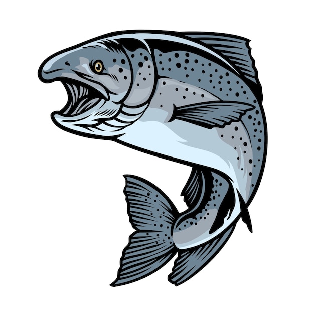 Pescado salmón chinook en estilo dibujado a mano