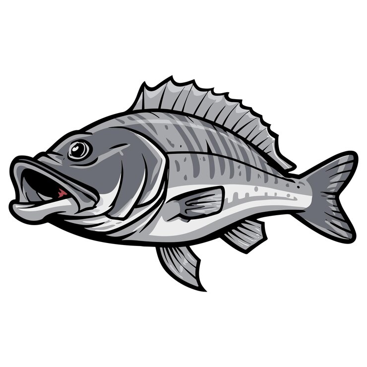 Pescado vectorial libre de gran bajo