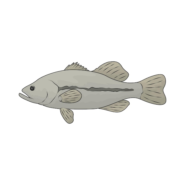 pescado de bajo