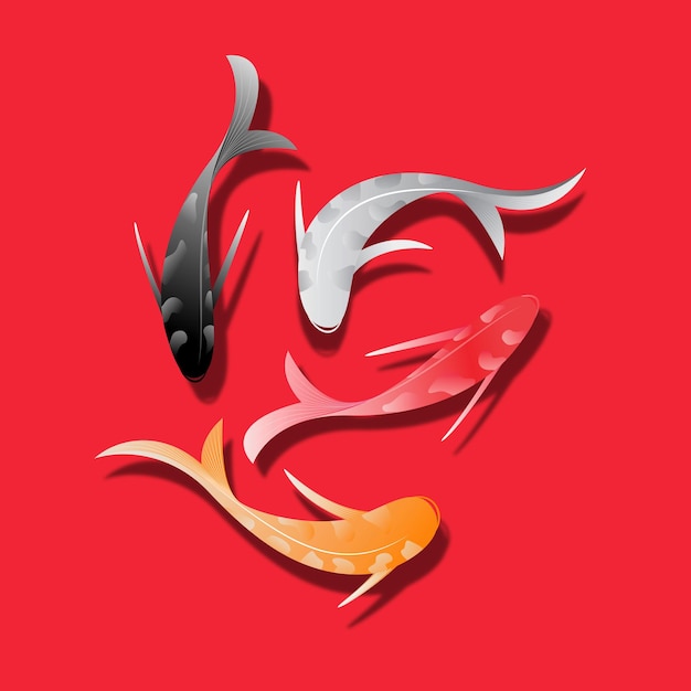 los pescados del koi