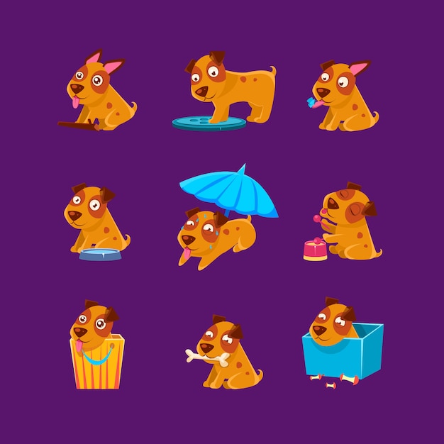 Pet Puppy Everyday Activities Collection