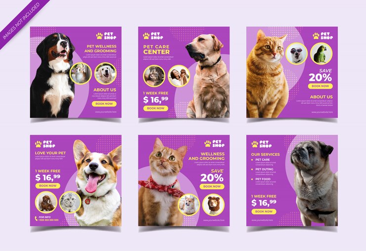 Pet shop instagram post collection