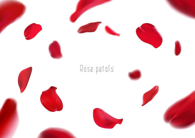 Pétalos de rosa rojos aislados realistas 3d dando vueltas en un torbellino