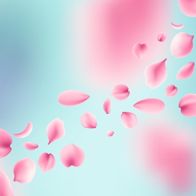 Pétalos de rosa rosa spa fondo