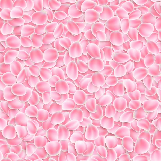 Vector pétalos de rosa transparente sobre fondo blanco.