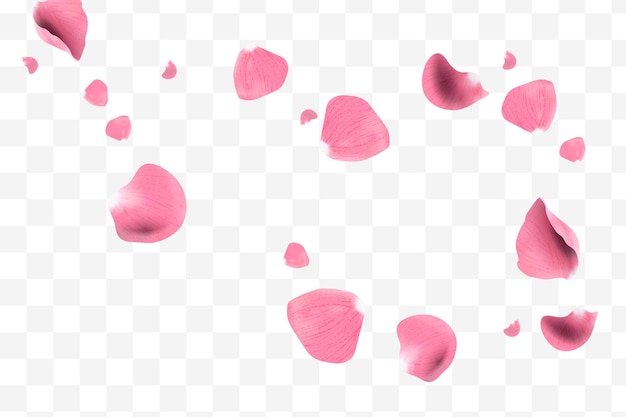 Los pétalos de rosas rosas realistas volando