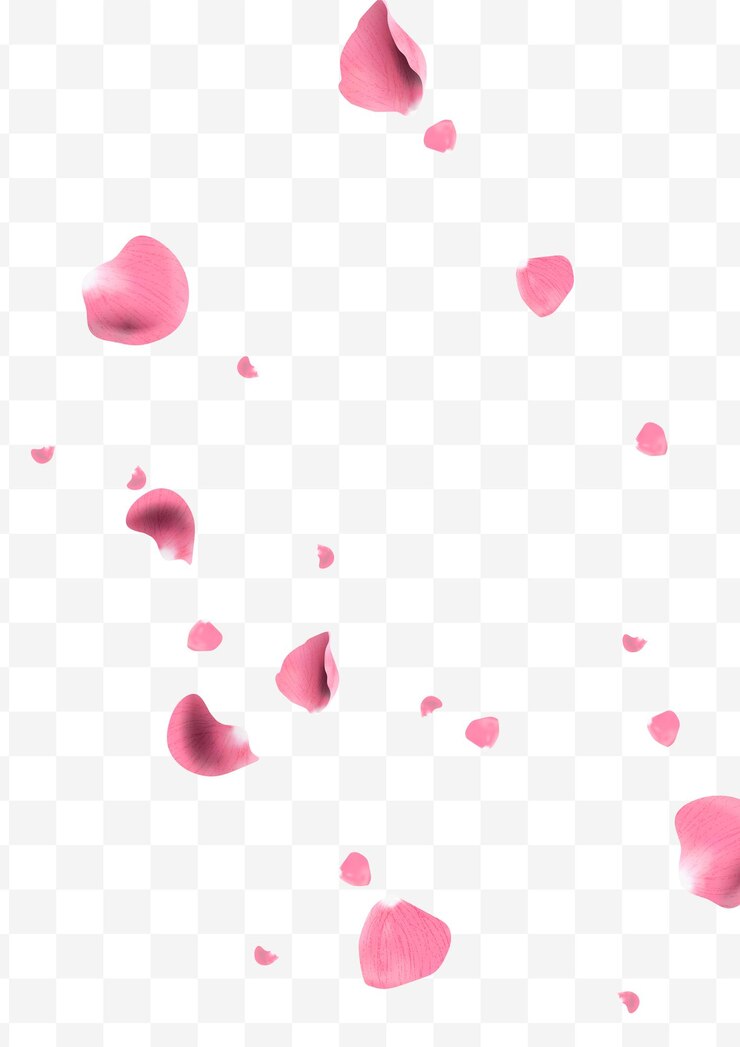 Vector los pétalos de rosas rosas realistas volando