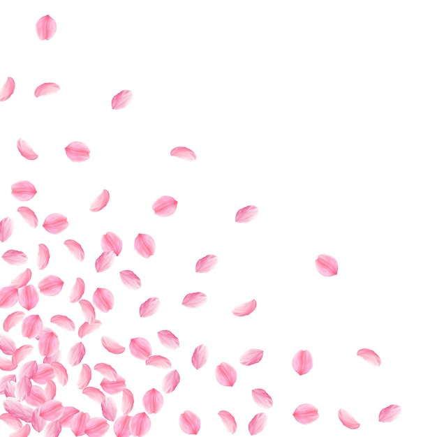 Vector pétalos de sakura cayendo. románticas flores de color rosa brillante medio. gruesos pétalos de cereza volando.
