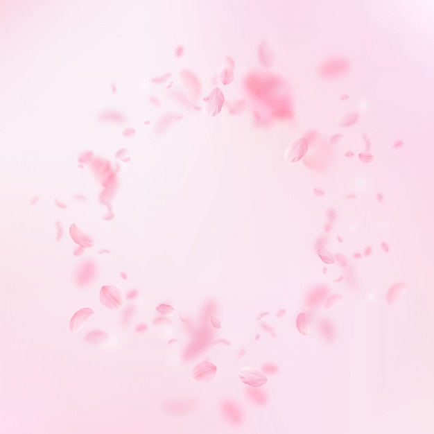 Pétalos de Sakura cayendo. Viñeta de flores rosadas románticas. Pétalos voladores sobre fondo cuadrado rosa.